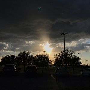 Meet your Posher, Riley